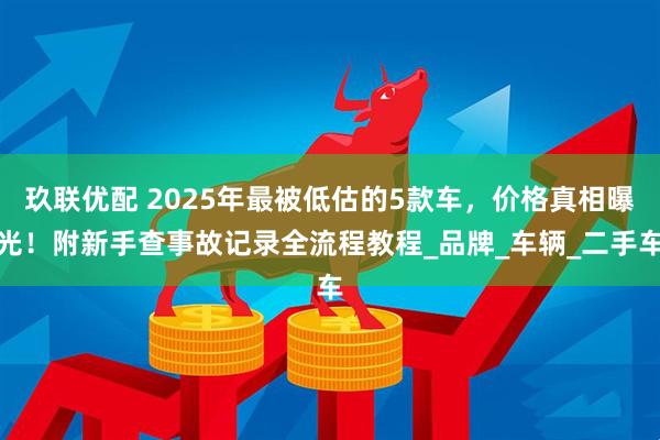 玖联优配 2025年最被低估的5款车，价格真相曝光！附新手查事故记录全流程教程_品牌_车辆_二手车