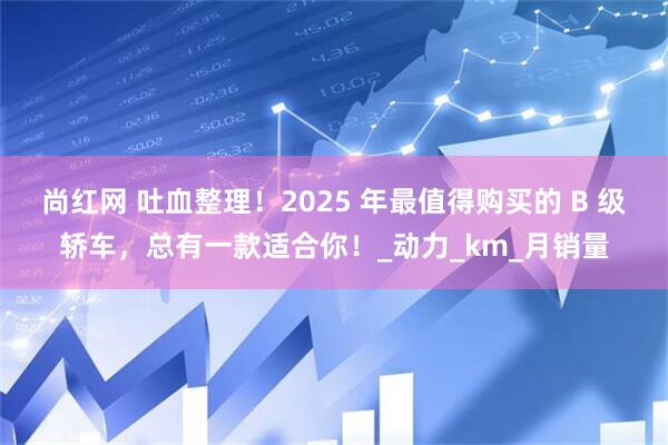 尚红网 吐血整理！2025 年最值得购买的 B 级轿车，总有一款适合你！_动力_km_月销量